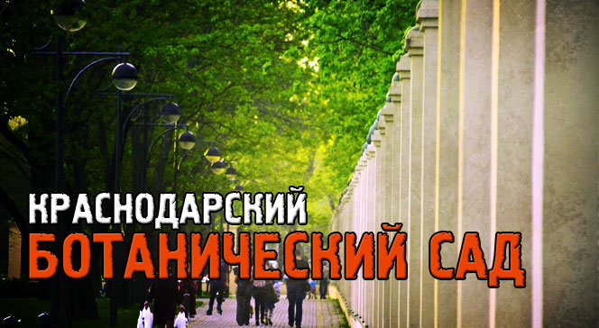 Краснодарский ботанический сад