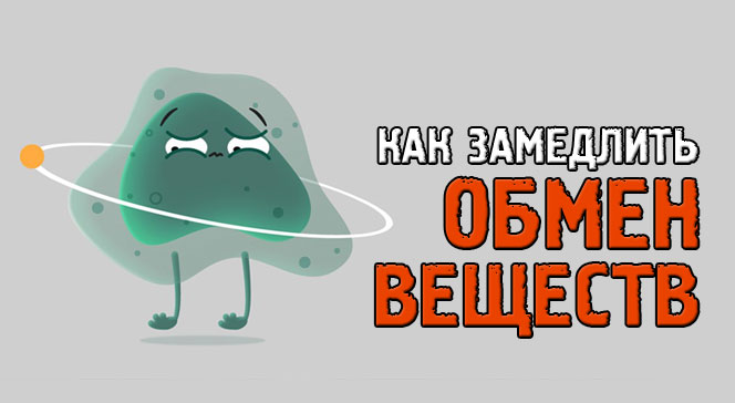 Как замедлить метаболизм и набрать вес