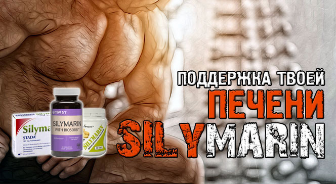 Силимарин как принимать инструкция