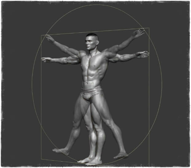 Тело мужчины 3D симметрия