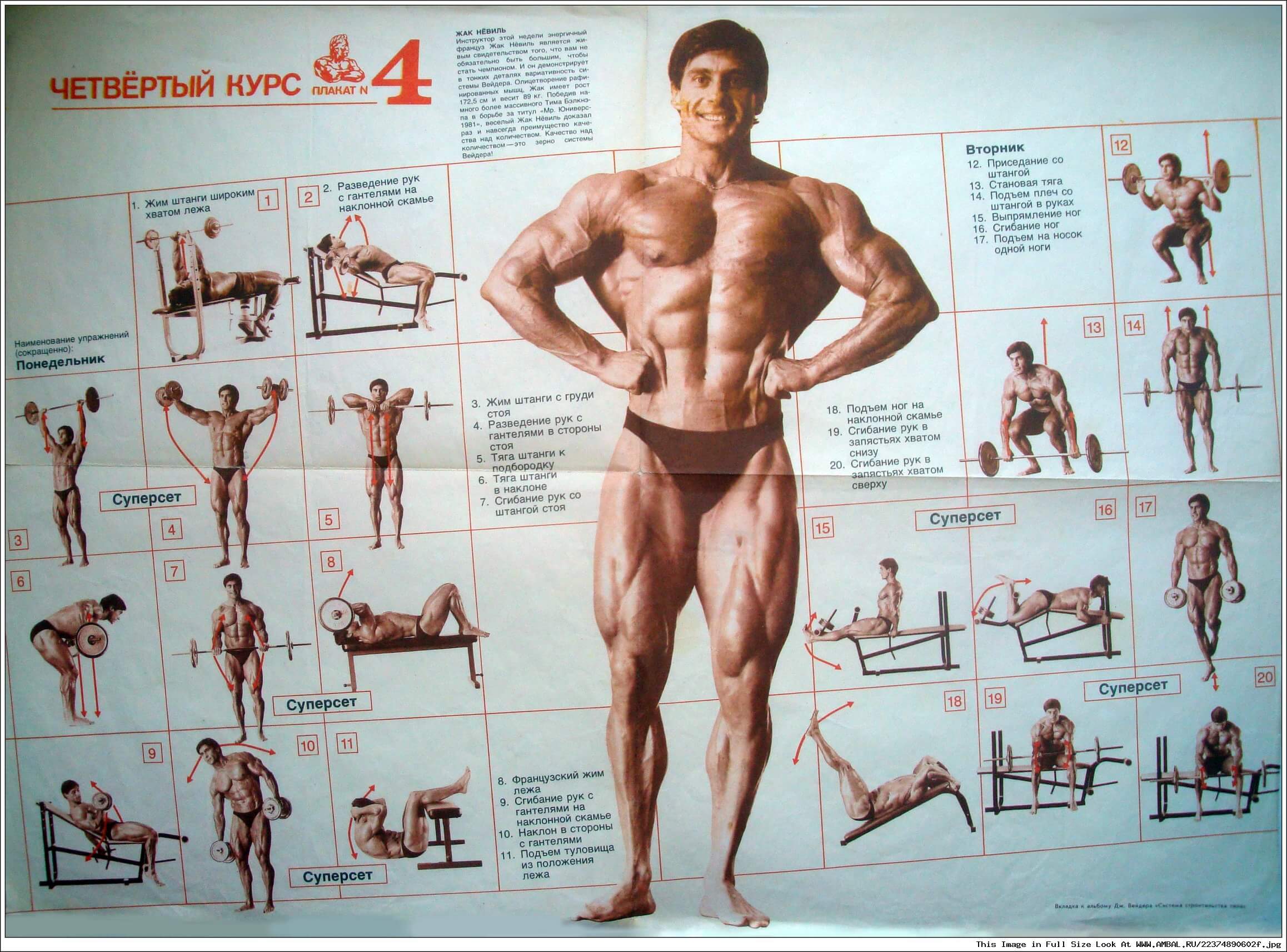 План качка. Жак Невиль культурист. Система тренировок Джо Вейдера плакаты. Джо Вейдер система строительства тела. Джо Вейдер система строительства тела плакат 1.