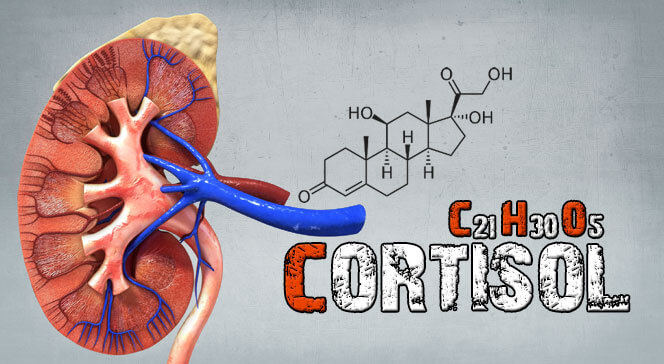 Как снизить кортизол гормон смерти