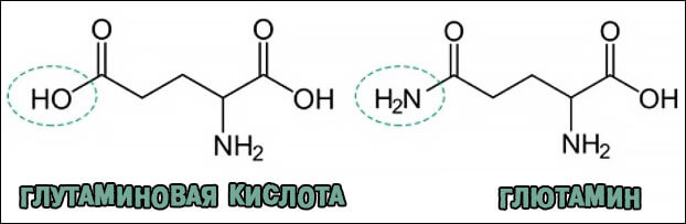 Глутаминовая кислота структурная формула картинка