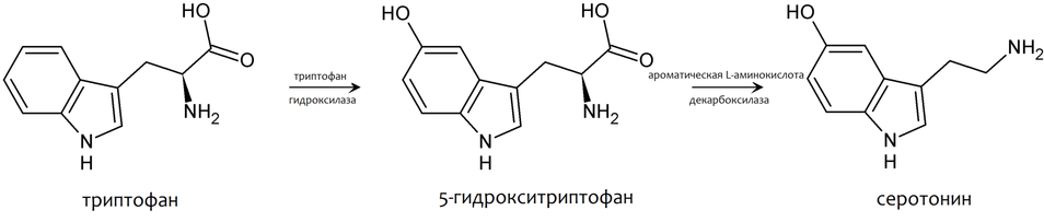 Серотонин и 5-HTP