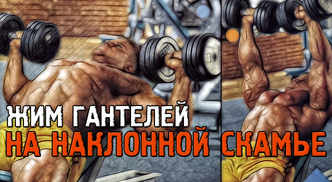 Жим гантелей на наклонной скамье