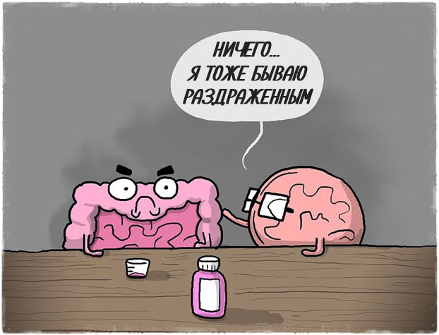 Мозг и кишечник