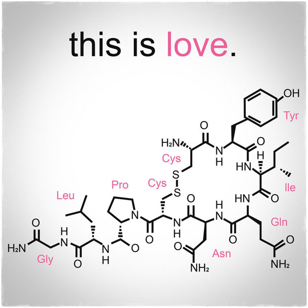 Окситоцин гормон любви