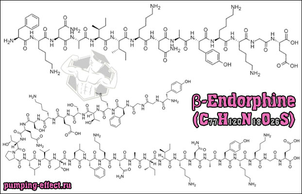 Формула β-Endorphine Эндорфина